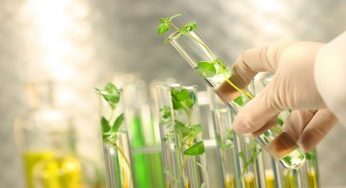 Ngành Công nghệ sinh học y dược ra làm gì?