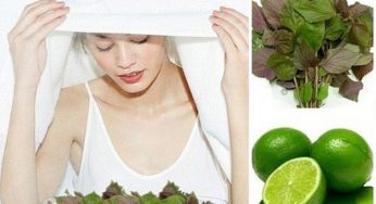 Gợi ý những cách làm trắng da bằng lá tía tô hiệu quả nhất