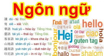 Tìm hiểu các trường cao đẳng có khoa tiếng Trung tại Hà Nội