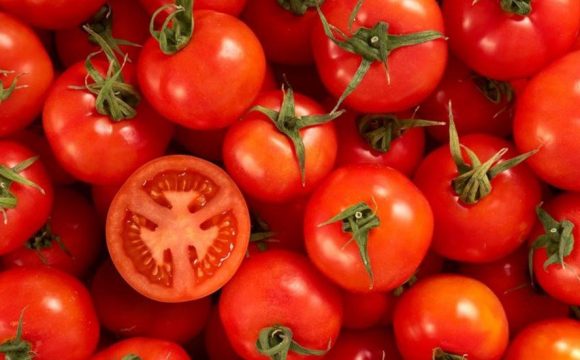Ăn cà chua mang lại nhiều lợi ích cho sức khỏe