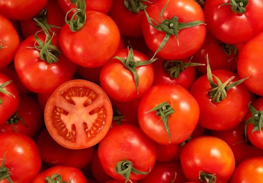 Ăn cà chua mang lại nhiều lợi ích cho sức khỏe