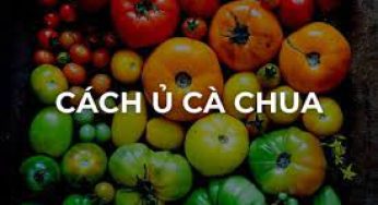 Cách ủ cà chua chín nhanh không cần dùng thuốc