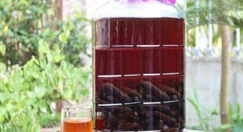 Rượu chuối hột là gì? Chia sẻ cách ngâm rượu chuối hột đúng cách
