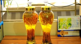 Hướng dẫn cách ngâm rượu đông trùng hạ thảo thơm ngon, bổ dưỡng