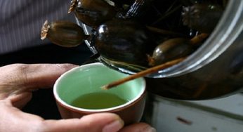Cách ngâm rượu hoa anh túc? Uống rượu ngâm hoa anh túc có tốt không