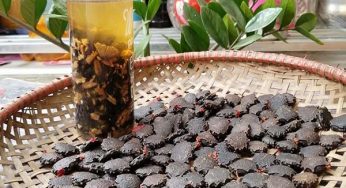 Công dụng của rượu ngâm hạt gấc và cách dùng đạt hiệu quả cao