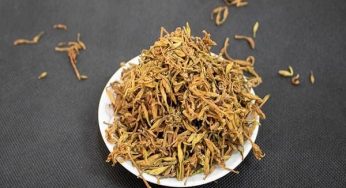 Tìm hiểu công dụng của rượu ngâm hoa đu đủ đực