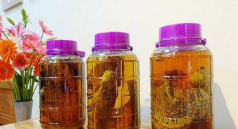 Hướng dẫn cách làm rượu ngâm sáp ong đơn giản, dễ thực hiện