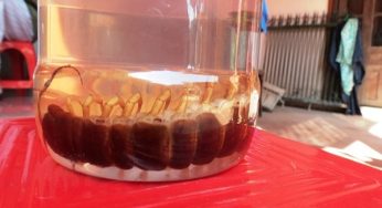 Rượu ngâm rết có tác dụng gì? Rượu rết có uống được không?
