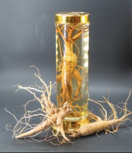 Cách ngâm rượu sâm chuẩn