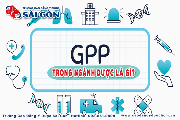 GPP trong ngành Dược là gì? Nhà thuốc đạt tiêu chuẩn GPP?